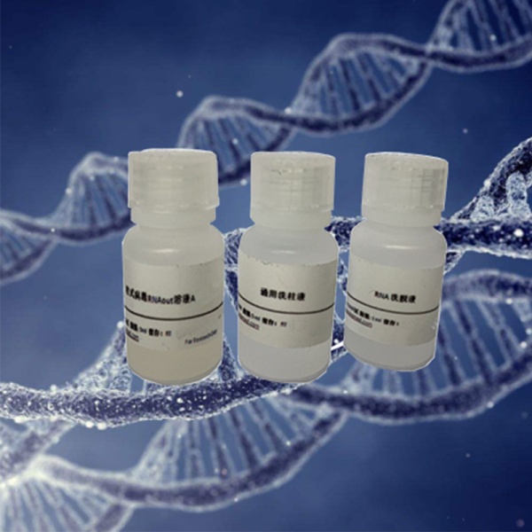 彩色预染蛋白Marker（10-250KD）