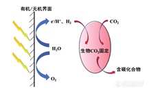 CO₂实现高效转化，看看大佬们都在用什么仪器？