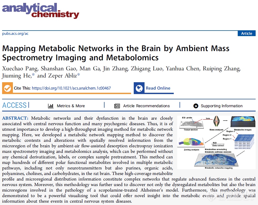 重磅成果：再帕尔·阿不力孜、贺玖明研究团队利用空间代谢组学技术绘制大鼠脑代谢网络图