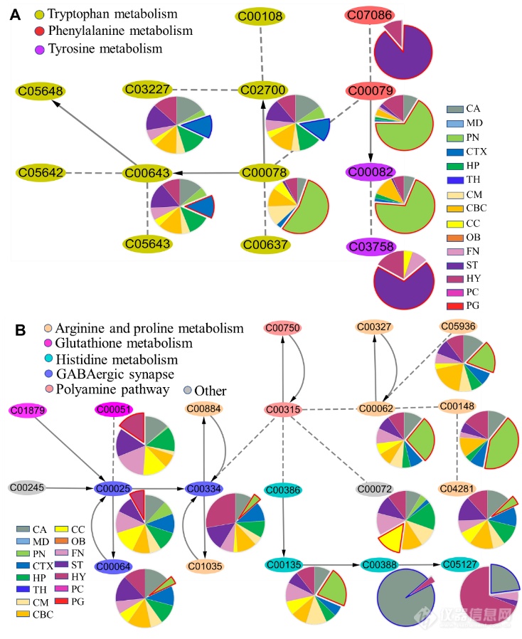 重磅成果：再帕尔·阿不力孜、贺玖明研究团队利用空间代谢组学技术绘制大鼠脑代谢网络图