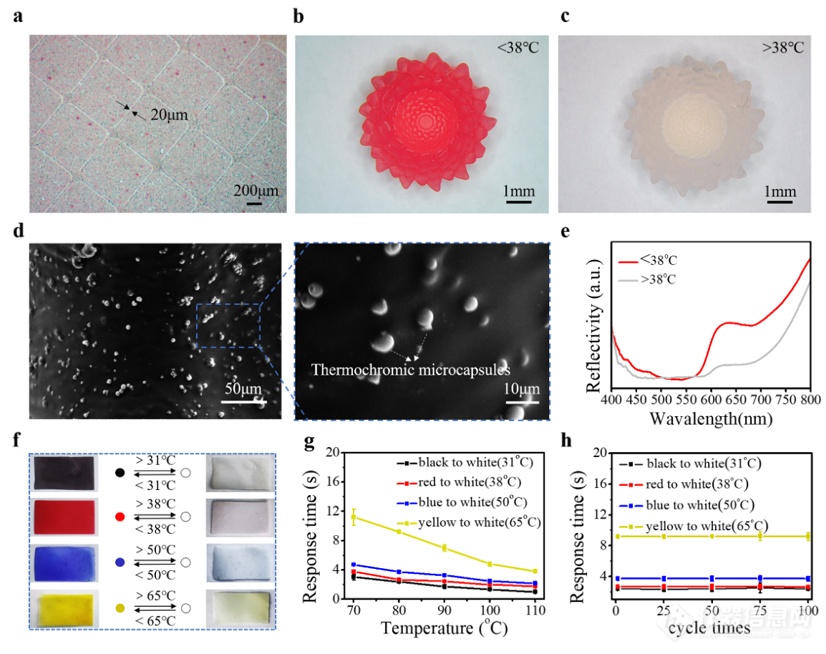 光固化、热变色形状记忆聚合物助力可变色4D打印