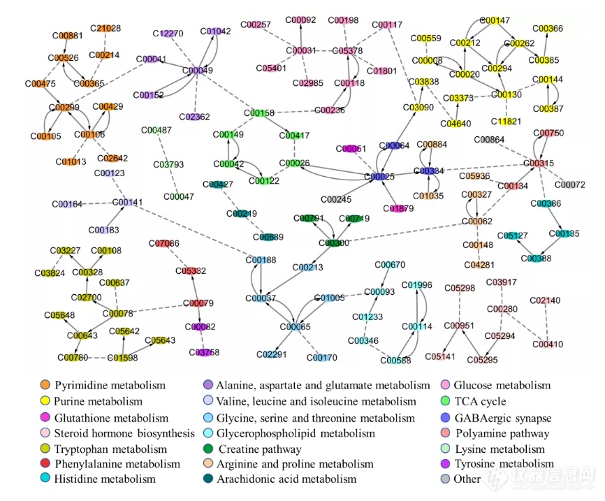 重磅成果：再帕尔·阿不力孜、贺玖明研究团队利用空间代谢组学技术绘制大鼠脑代谢网络图