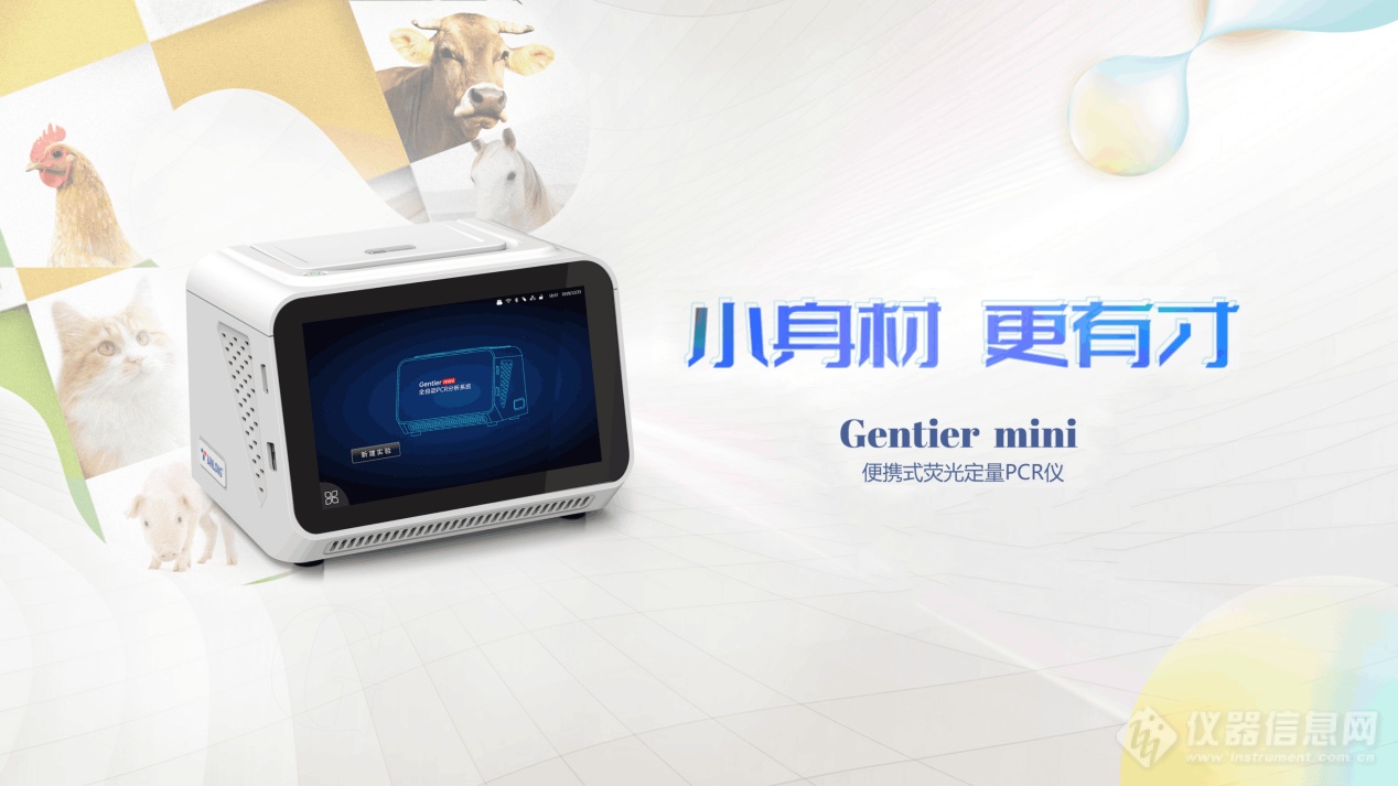 小身材，更有才——Gentier mini便携式荧光定量PCR仪