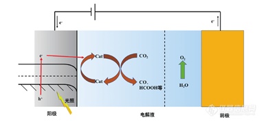 CO₂实现高效转化，看看大佬们都在用什么仪器？