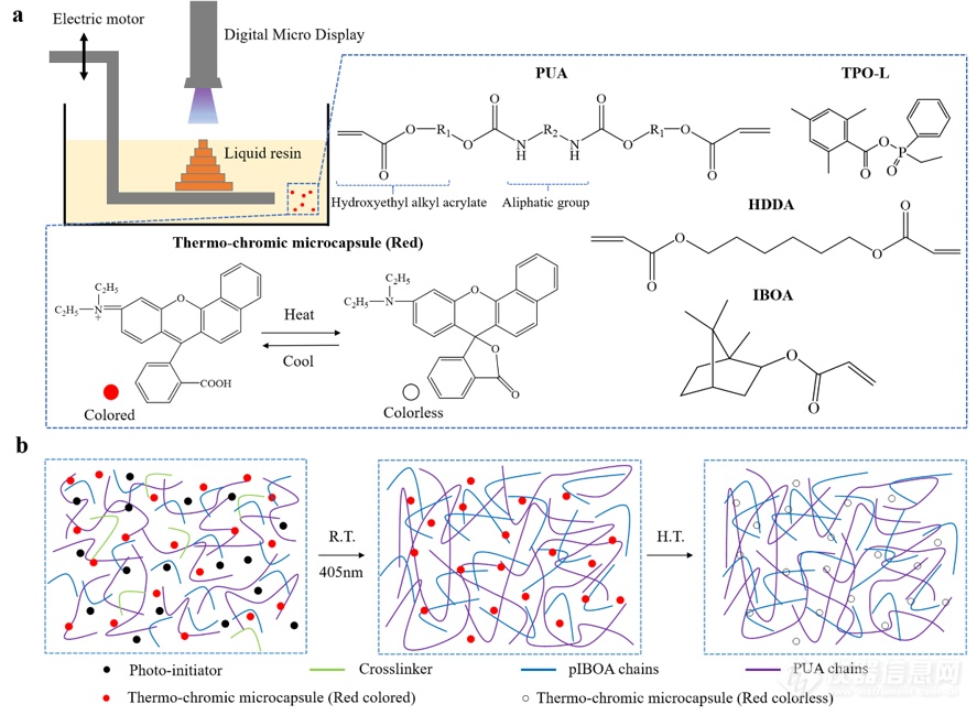 光固化、热变色形状记忆聚合物助力可变色4D打印