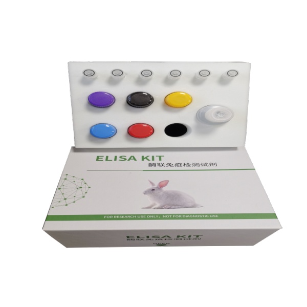 小鼠白细胞介素1β（IL-1β）ELISA试剂盒