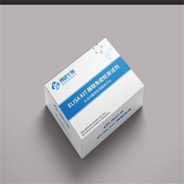 人白细胞介素17A（IL-17A）ELISA试剂盒