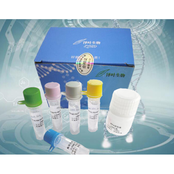 明胶中羊源性成分荧光探针法PCR检测试剂盒
