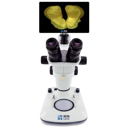 体视显微镜 LS745