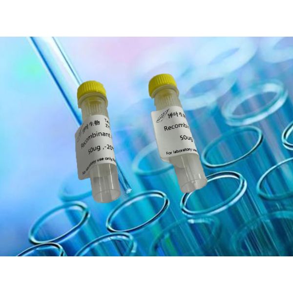活性检测CCK-8细胞增殖与毒性检测试剂盒-500T
