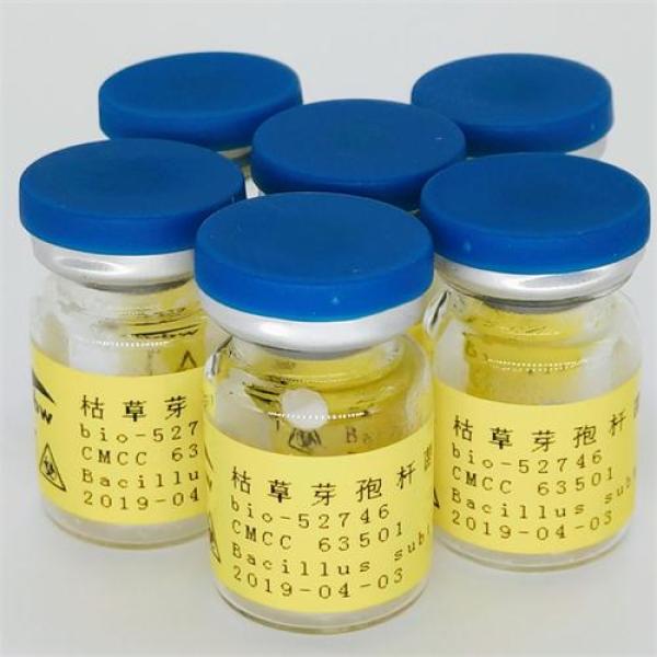 bio-094502 蜡样芽胞杆菌 (蜡状芽胞杆菌)
