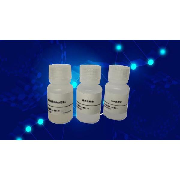 葡萄糖氧化酶检测试剂盒-荧光法