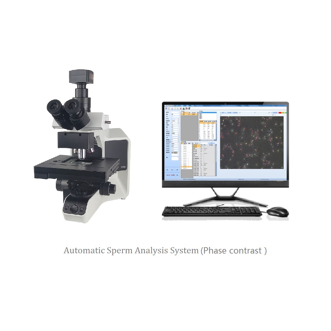 全自动精子质量检测-豪华版