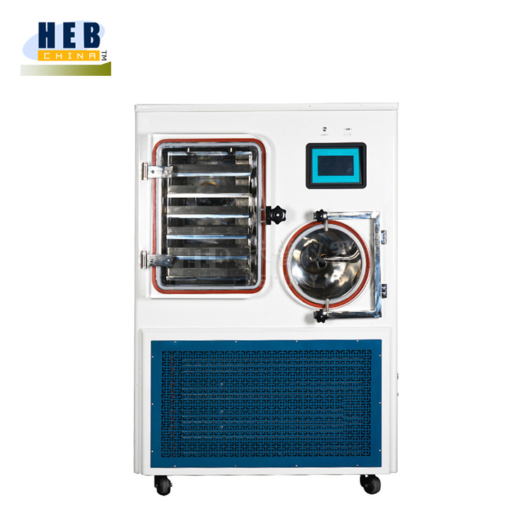 中式普通型真空冷冻干燥机ZLGJ-100