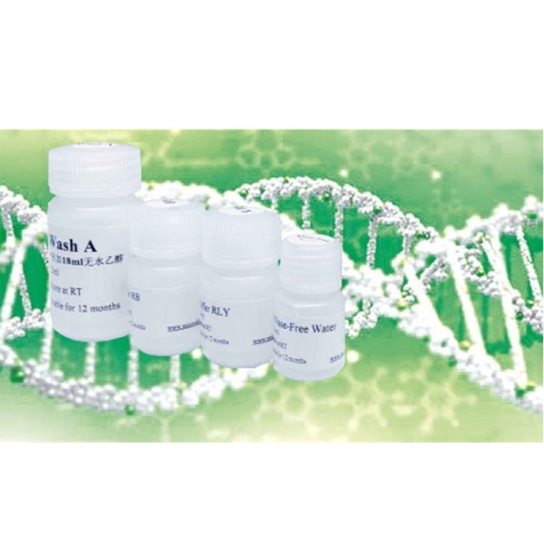 植物谷氨酰胺酶（GLS)检测试剂盒