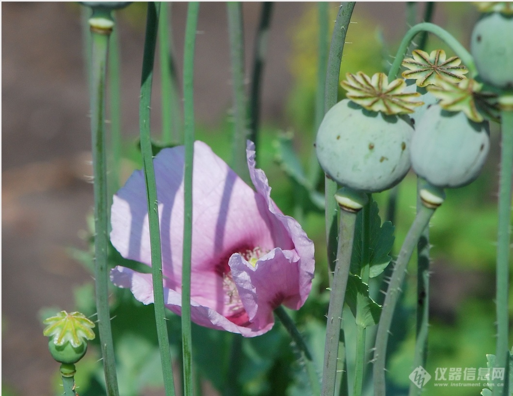 真相！某些食物吃了还想吃？也许添加了̷̷