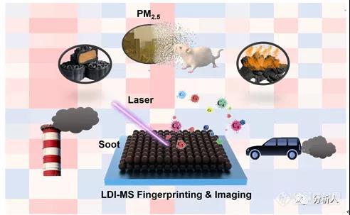 中科院生态环境中心刘倩与福州大学林振宇团队合作开发LDI-MS指纹识别技术实现黑碳颗粒定量和生物分布成像