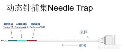 Needle trap分析昆虫化学防御 —蠼螋分泌物的挥发性化合物