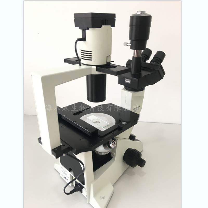 上海木森二手奥林巴斯倒置金相显微镜CK40