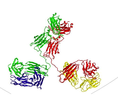 岛津 生物药液相色谱柱