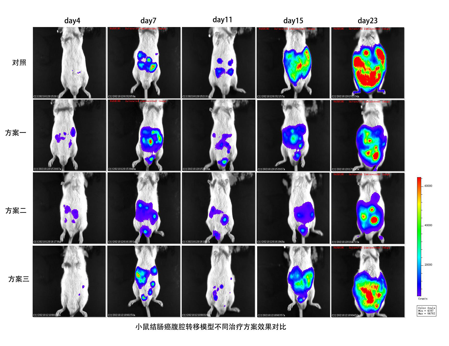 勤翔小动物活体成像系统IVScope8000系列