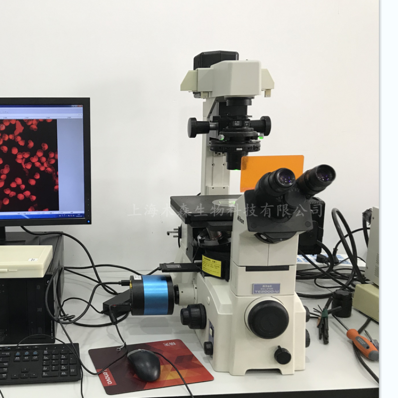 上海木森二手尼康倒置生物显微镜TE2000-U
