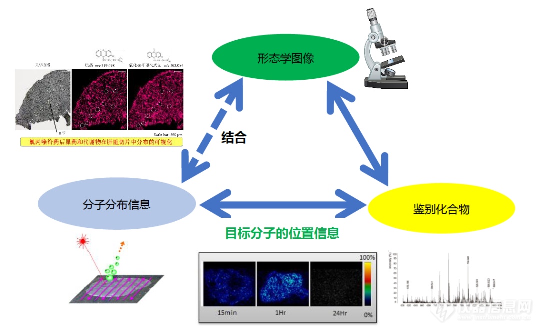 “慧眼”观微—成像质谱显微镜iMScope QT开箱测评