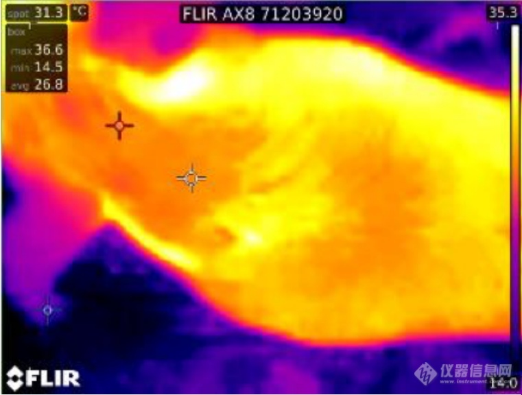 “看懂”动物们的喜怒，FLIR红外热像仪助力畜牧业高质量发展