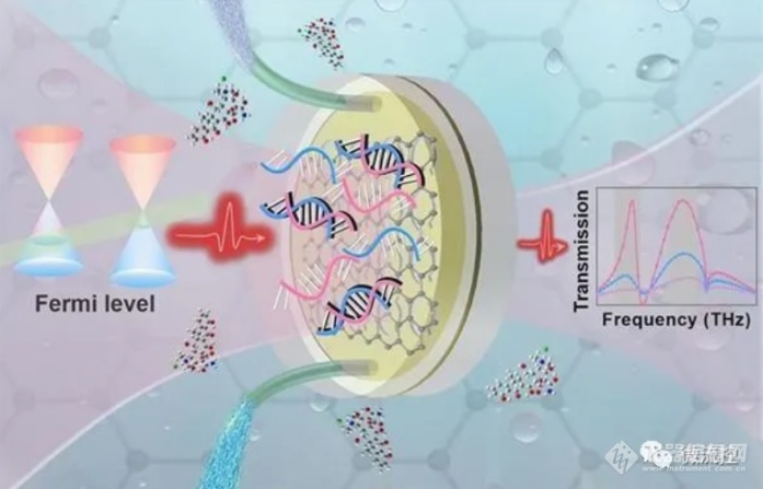 广东质标所研发太赫兹生物传感器实现大肠杆菌DNA序列免标检测