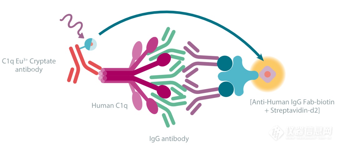 新品发布 | 人源C1q结合试剂盒
