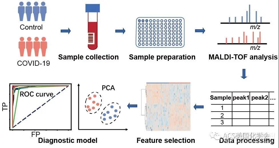 Analytical Chemistry封面成果：基于MALDI-TOF血清多肽指纹图谱的新冠肺炎快速检测方法