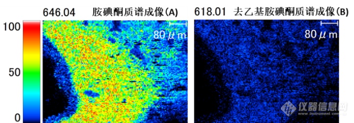 “慧眼”观微—成像质谱显微镜iMScope QT开箱测评