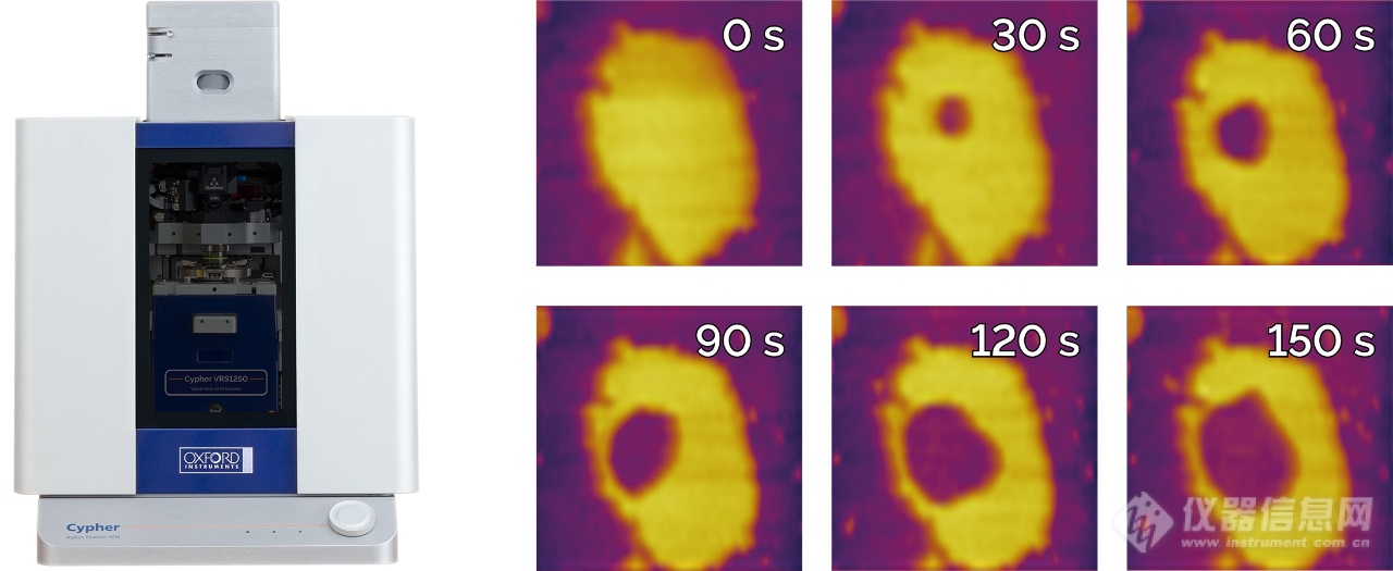 视频级原子力显微镜 Cypher VRS 1250 闪亮登场！每秒最高可获得 45 帧图