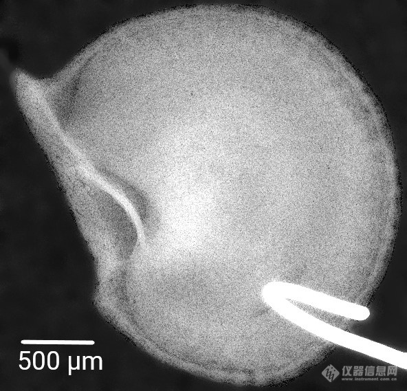 跨向理想X射线探测器的一小步-高分辨、非晶硒X射线探测器及其应用