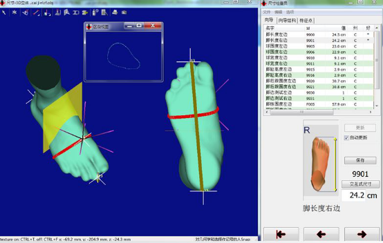 Anthroscan Foot3D 足部手部扫描