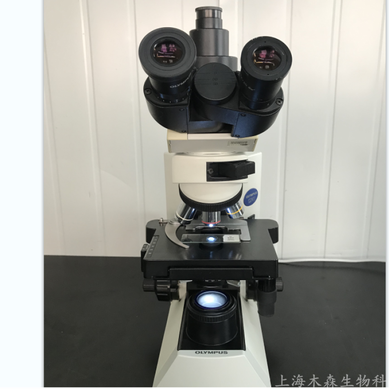 上海木森二手奥林巴斯显微镜CX41