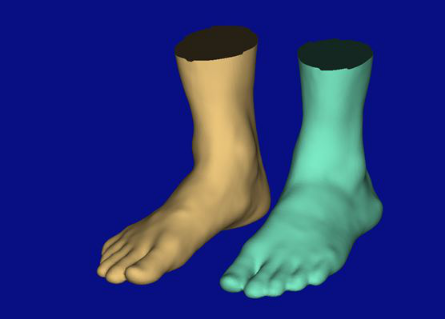 Anthroscan Foot3D 足部手部扫描