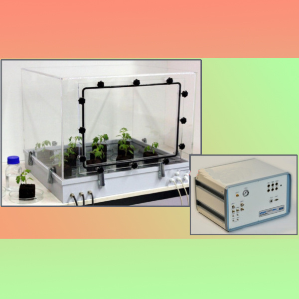 13CO2气体标记植物培养系统