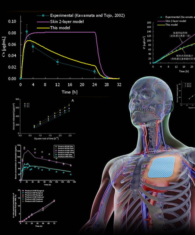 科翔TTS计算机模拟药物经皮吸收分析与评估系统