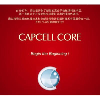 CAPCELL PAK CORE PFP PFP柱