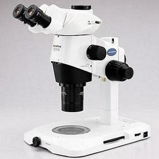 奥林巴斯Olympus临床级体视显微镜SZ51