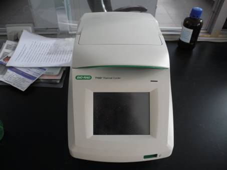 美国 Bio-Rad  伯乐  PCR 基因扩增仪  T100