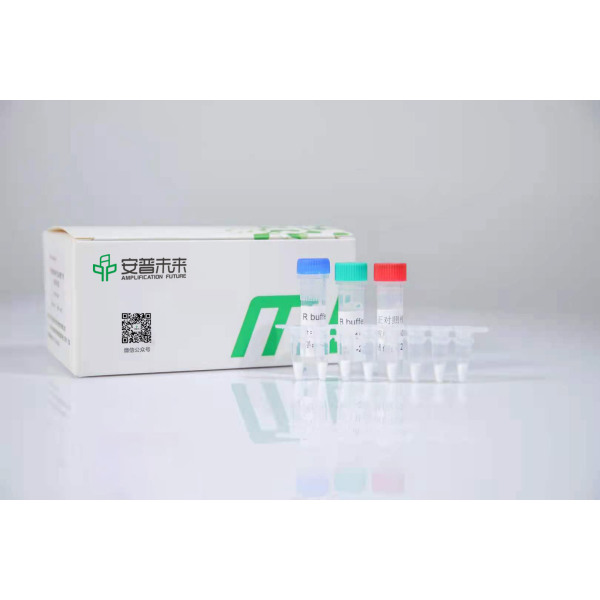 甲型流感病毒通用型荧光检测试剂盒