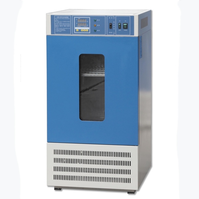 电热恒温生化培养箱，实验室菌霉菌微生物培养箱