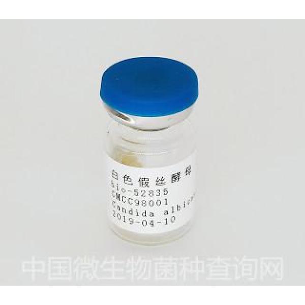 CMCC98001 白色假丝酵母
