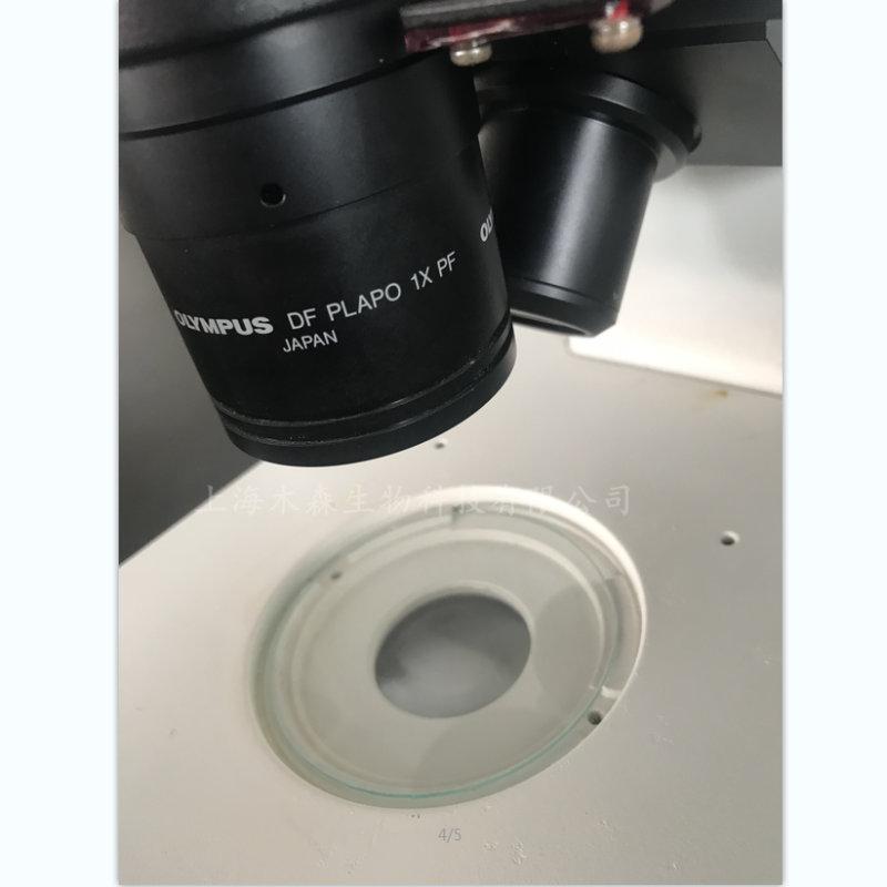 上海木森二手奥林巴斯体视显微镜SZX12