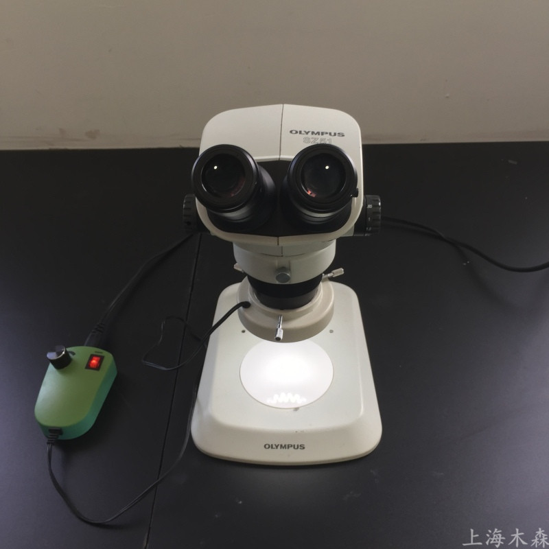 上海木森二手奥林巴斯体视显微镜SZ51