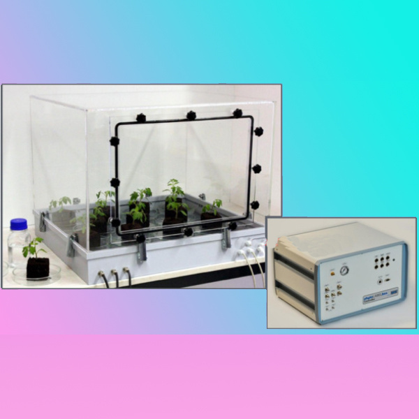 C13气体标记植物培养系统