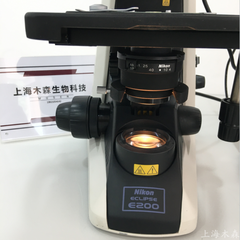 上海木森二手NiKon尼康显微镜E200