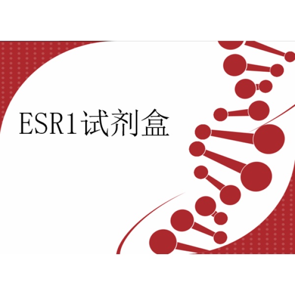 人ESR1基因Y537S/D538G突变检测试剂盒（数字PCR法）